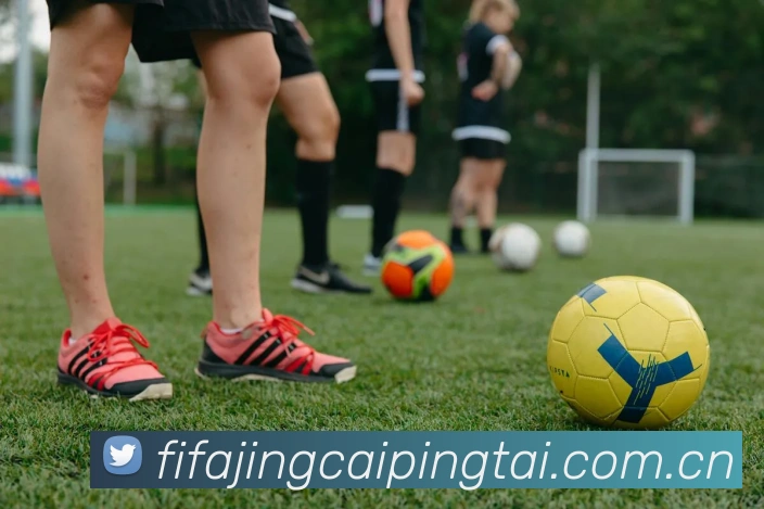 世界杯竞猜软件平台生态图